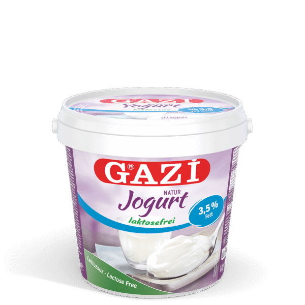 GAZI LAKTOSEFREIER JOGHURT 3,5 % 1 kg