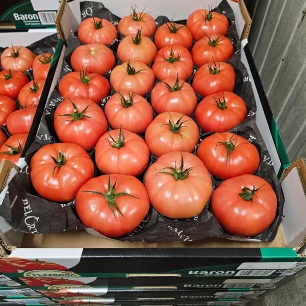 Fleischtomaten Einlagig >BARON< 7KG
