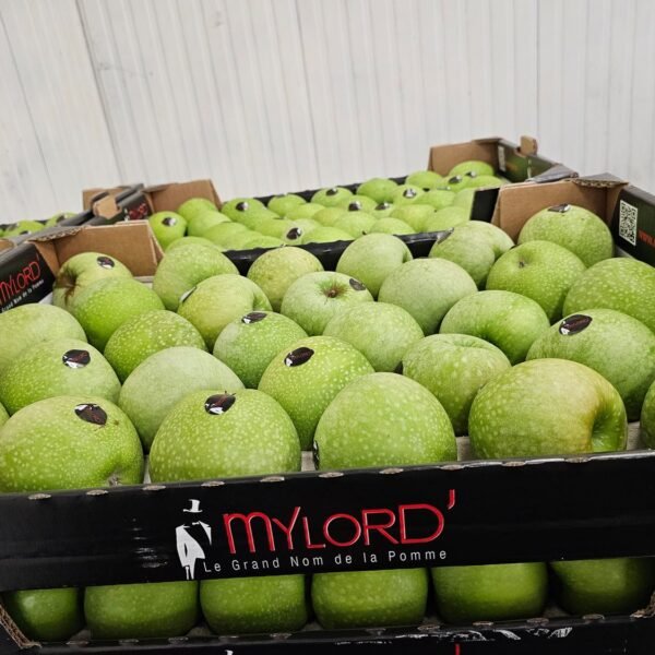 Granny Apfel 7KG >Mylord< Fr.