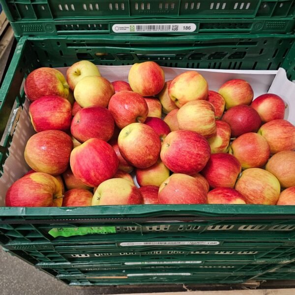 Jonagold Apfel 11Kg 80-85mm