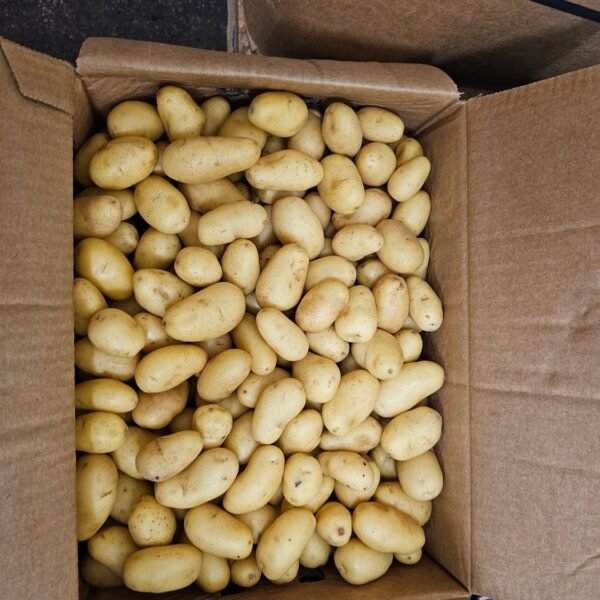 Kartoffel Drillinge 10KG