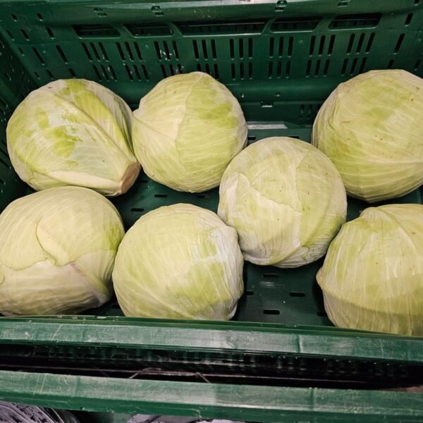Weißkohl 10KG Pfand