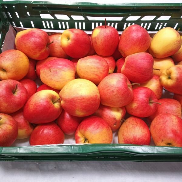 Pinova Apfel 80/90 11Kg