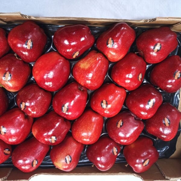 Red Delicious Apfel Ca.25 7Kg IT.