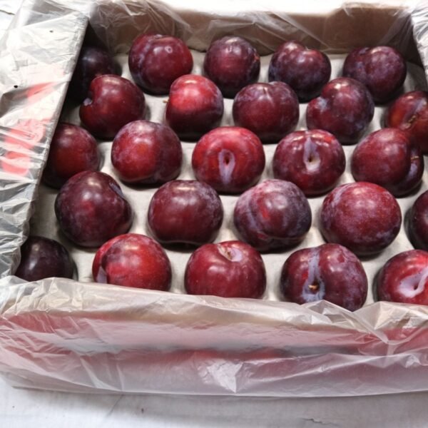 Rot Pflaumen 5 Kg 55/60mm Süd Afrika.