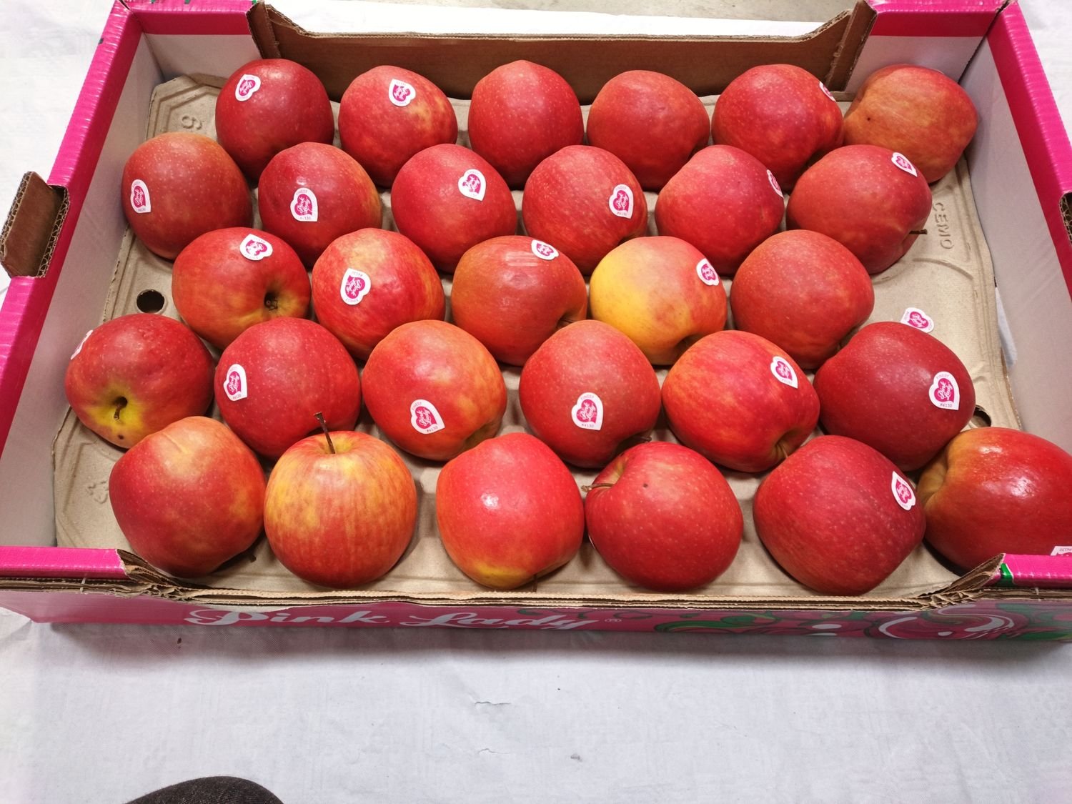 4851006122.jpg Pink Lady Apfel 75/80 6.5Kg Fr. - Image 1