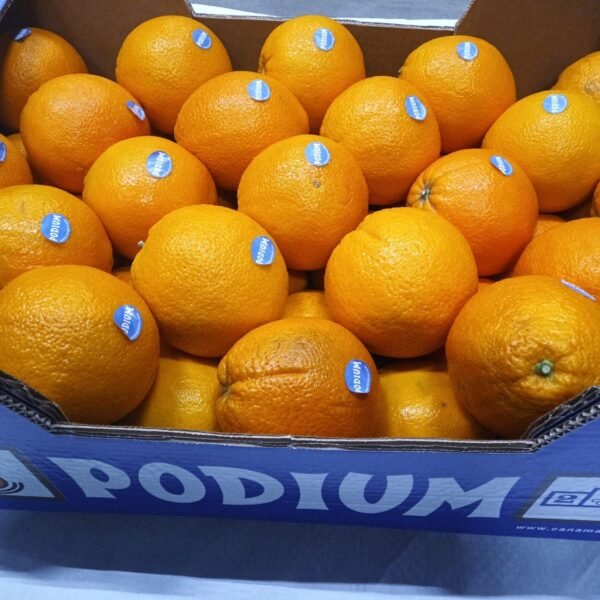 Podium Orangen Gr.1-45 K.1 16Kg