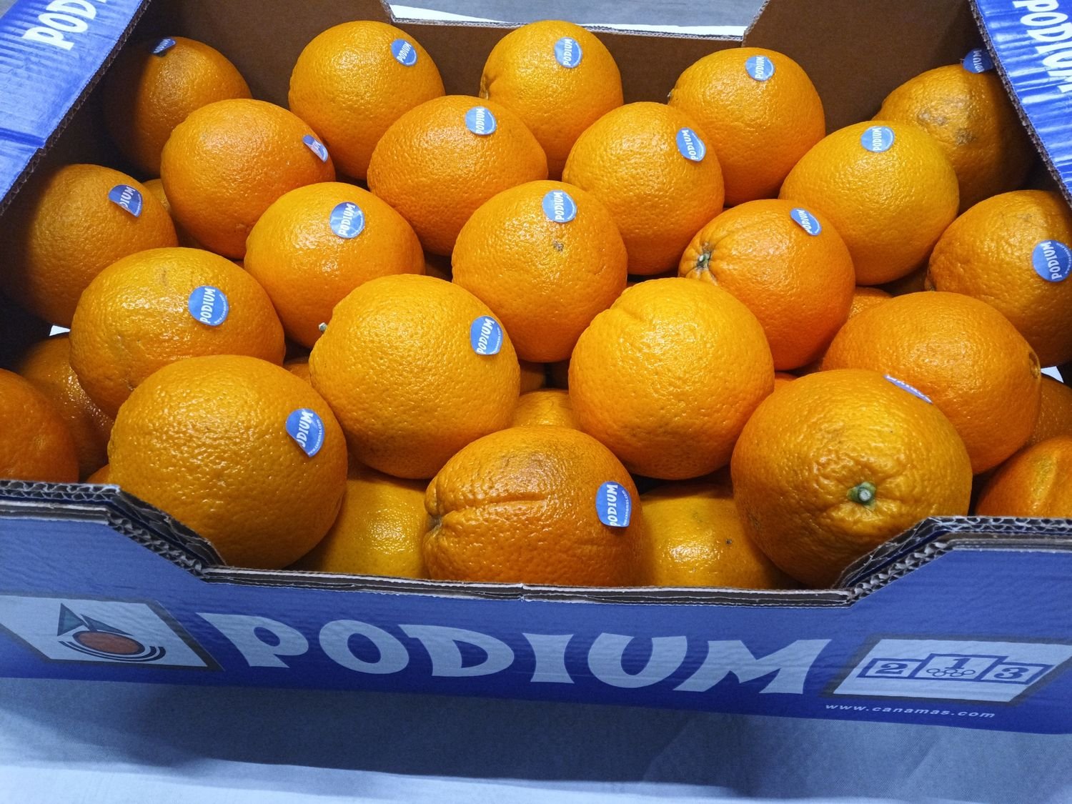 4854739994.jpg Podium Orangen Gr.1-45 K.1 16Kg - Image 1