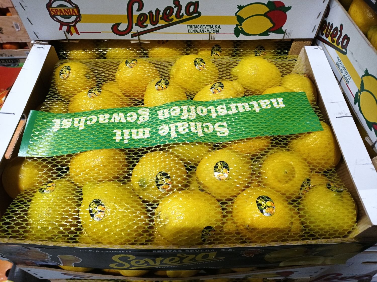 4854857310.jpg Seveia Zitronen Kl.1 100 Stück 15Kg Sp. - Image 1