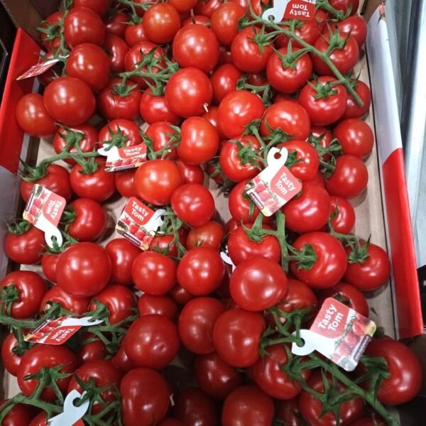 Tasty Tomaten K.1 7Kg NL.