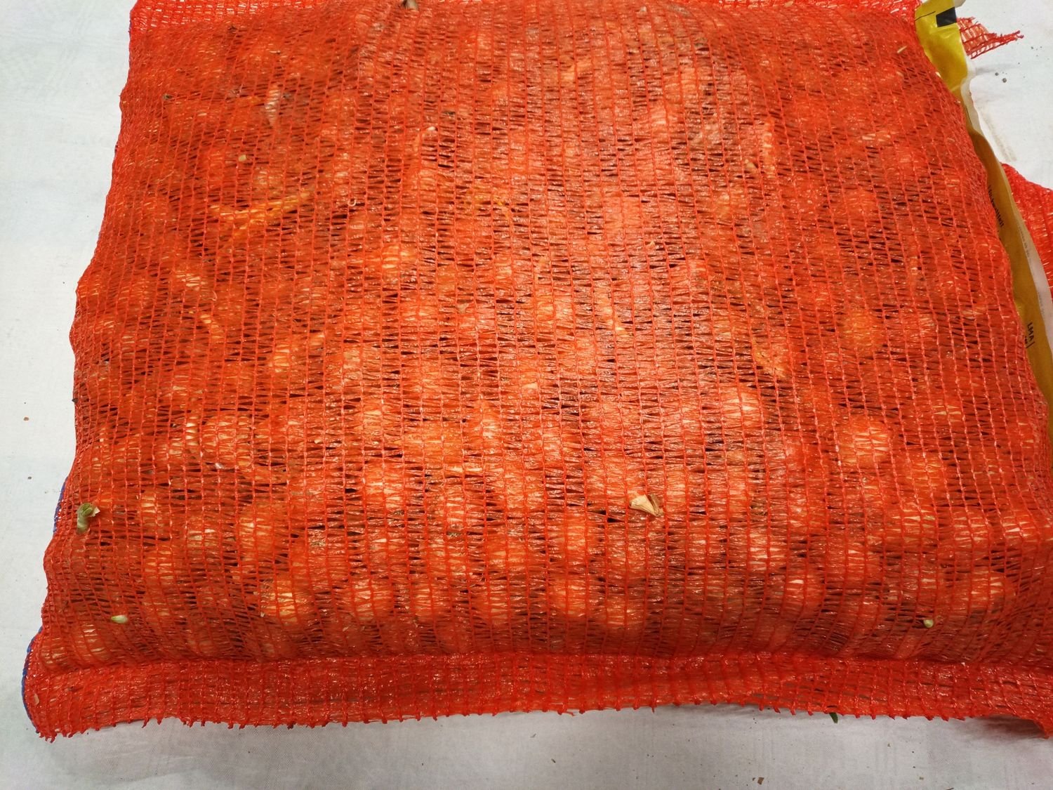 4855078751.jpg Steckzwiebeln 10Kg. - Image 1