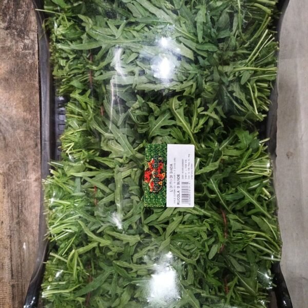Rucola 10 Bund IT.