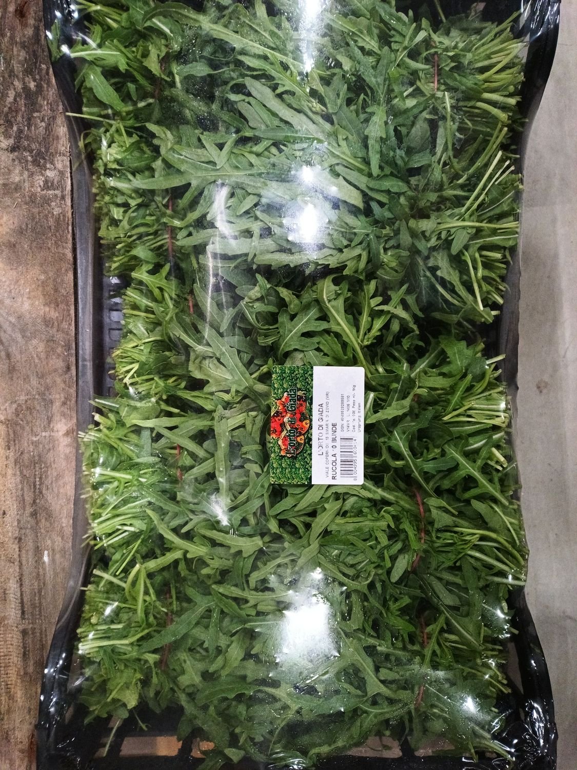 4855266606.jpg Rucola 10 Bund IT. - Image 1