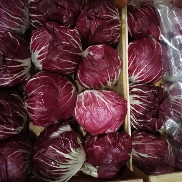 Radiccio 3KG ITAL. Holz