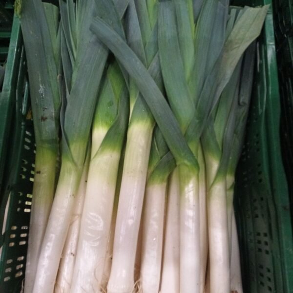 Porree 10KG Nl. Pfand