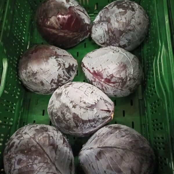 Rotkohl Pfand