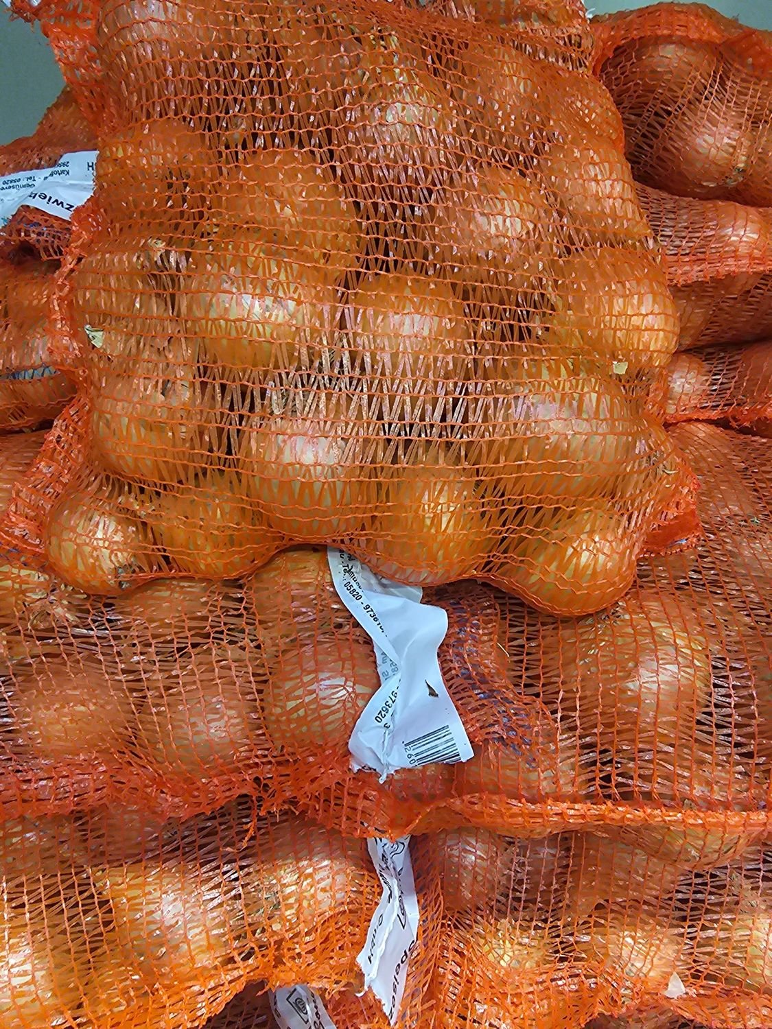 4871303416.jpg Zwiebel 5KG - Image 1