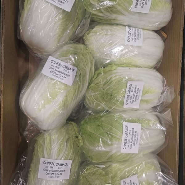 Chinakohl 8KG