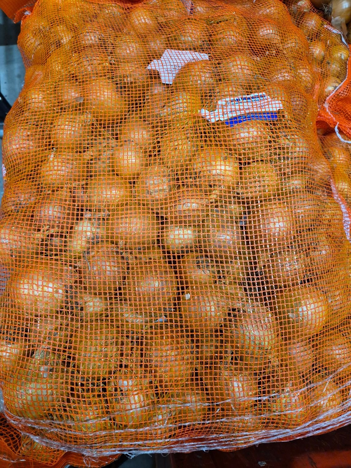 5148870265.jpg Zwiebel 1Kg Beutel 20ér - Image 1