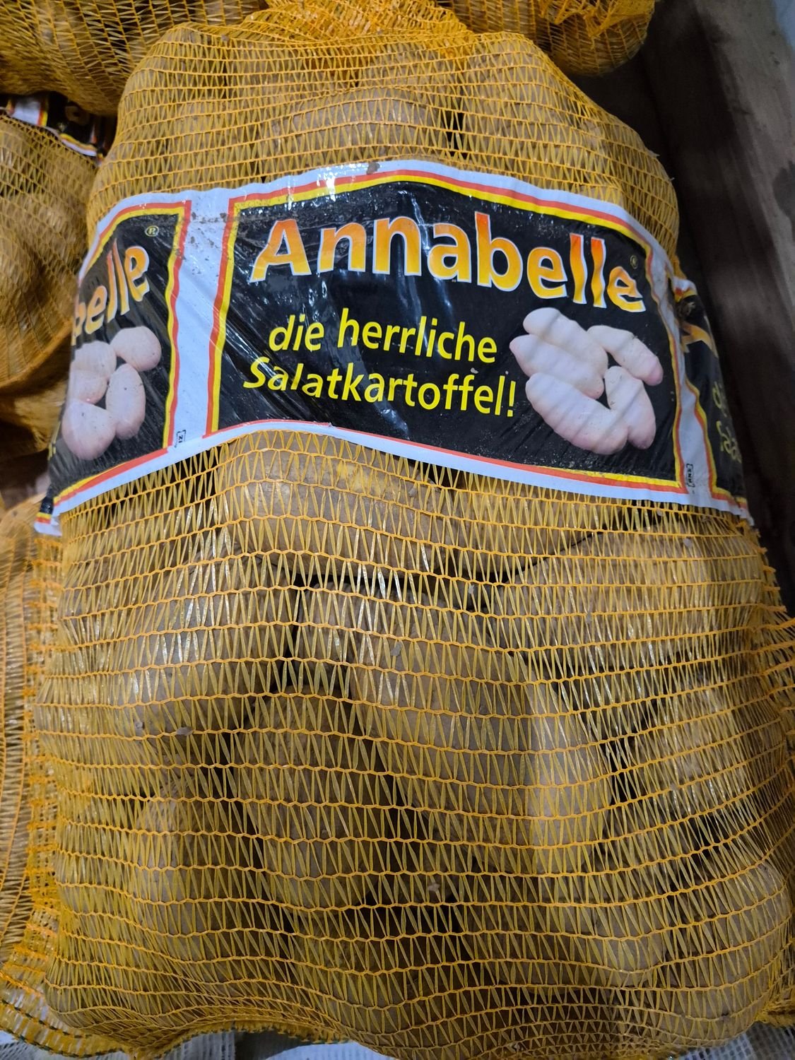 5148881520.jpg Anabelle Kartoffel 25Kg DE. - Image 1