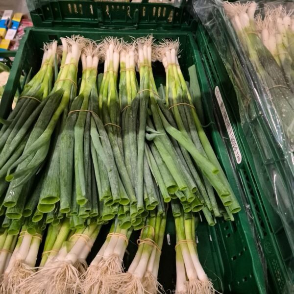 Lauchzwiebel 14ér Bund DE.