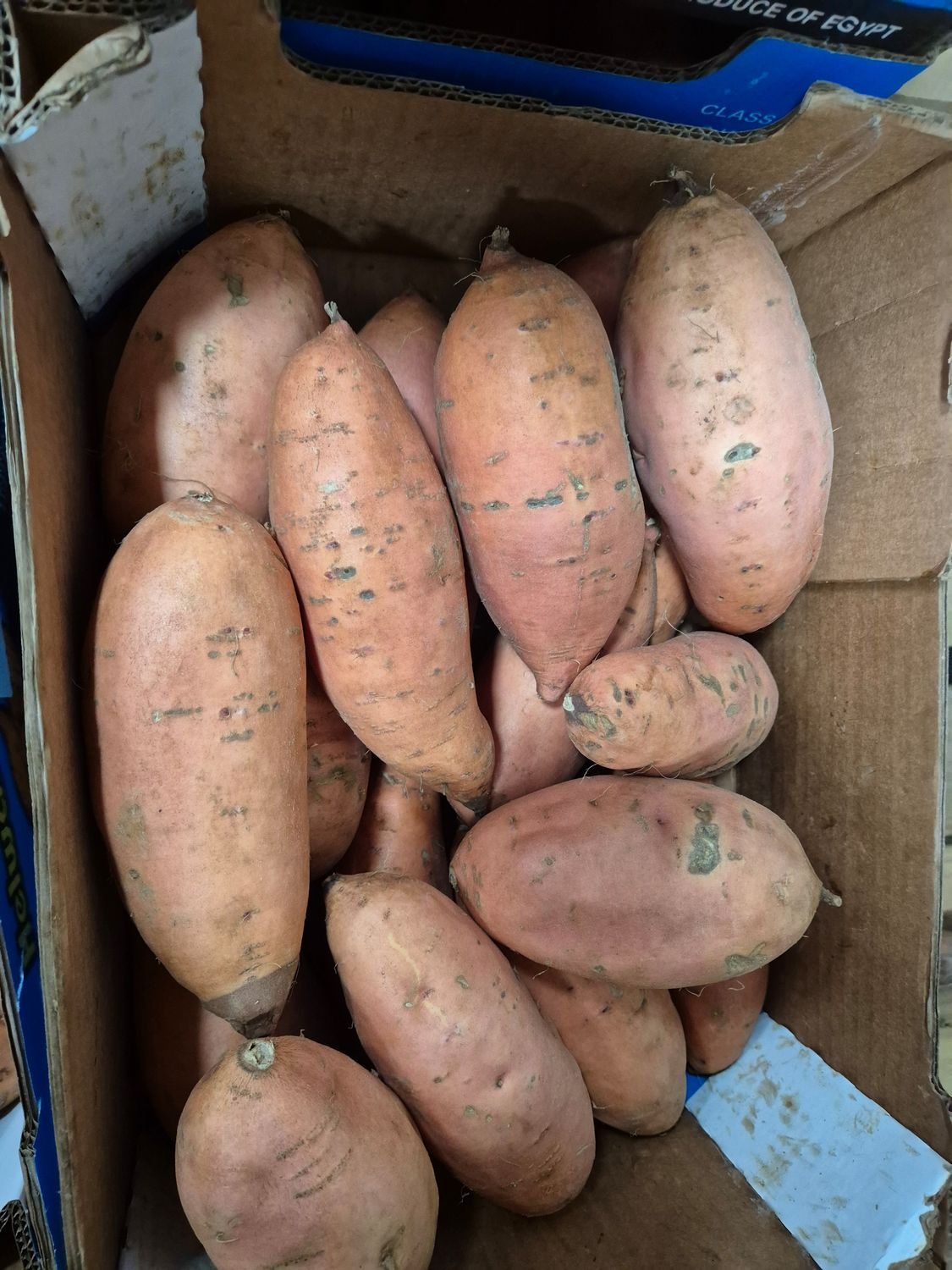 5173042295.jpg Süßkartoffel 6KG - Image 1