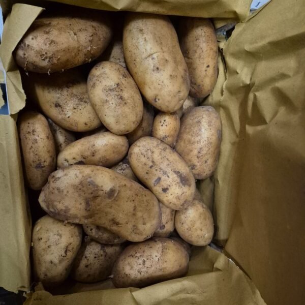 Spunta Kartoffeln 10Kg IT.