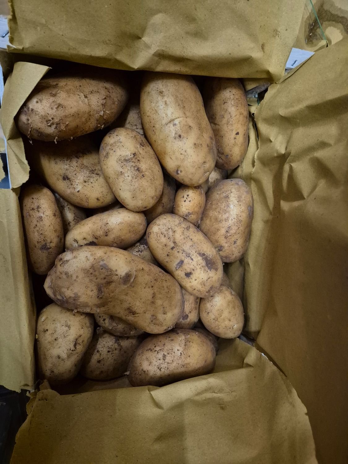 5173870698.jpg Spunta Kartoffeln 10Kg IT. - Image 1