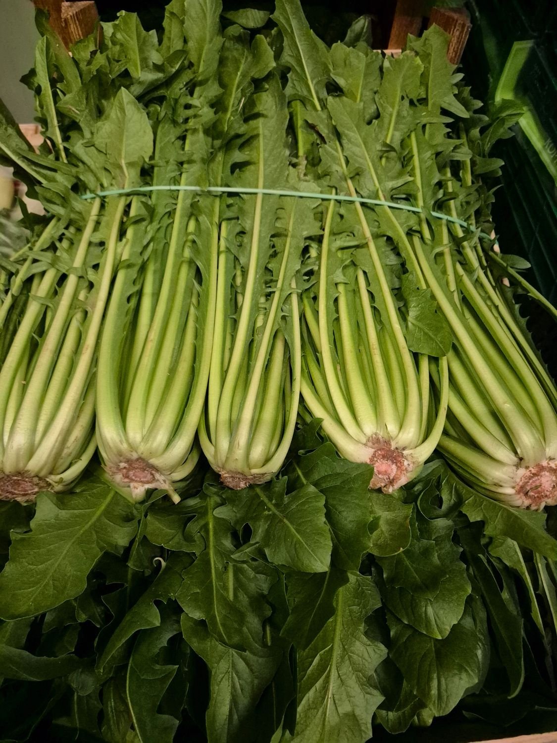 5177427040.jpg Löwenzahn Holz Kiste Ca.6 IT. - Image 1