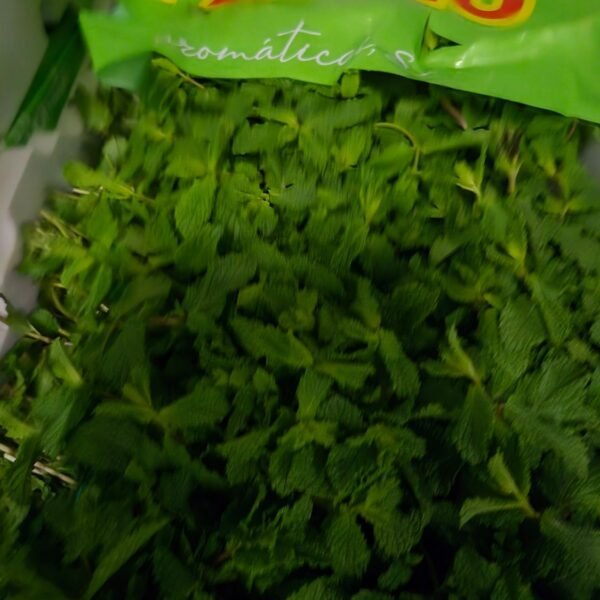 Minze 20'er Bund Styropor SP.