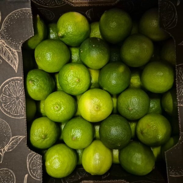 Limetten Ca.54 Brasilien