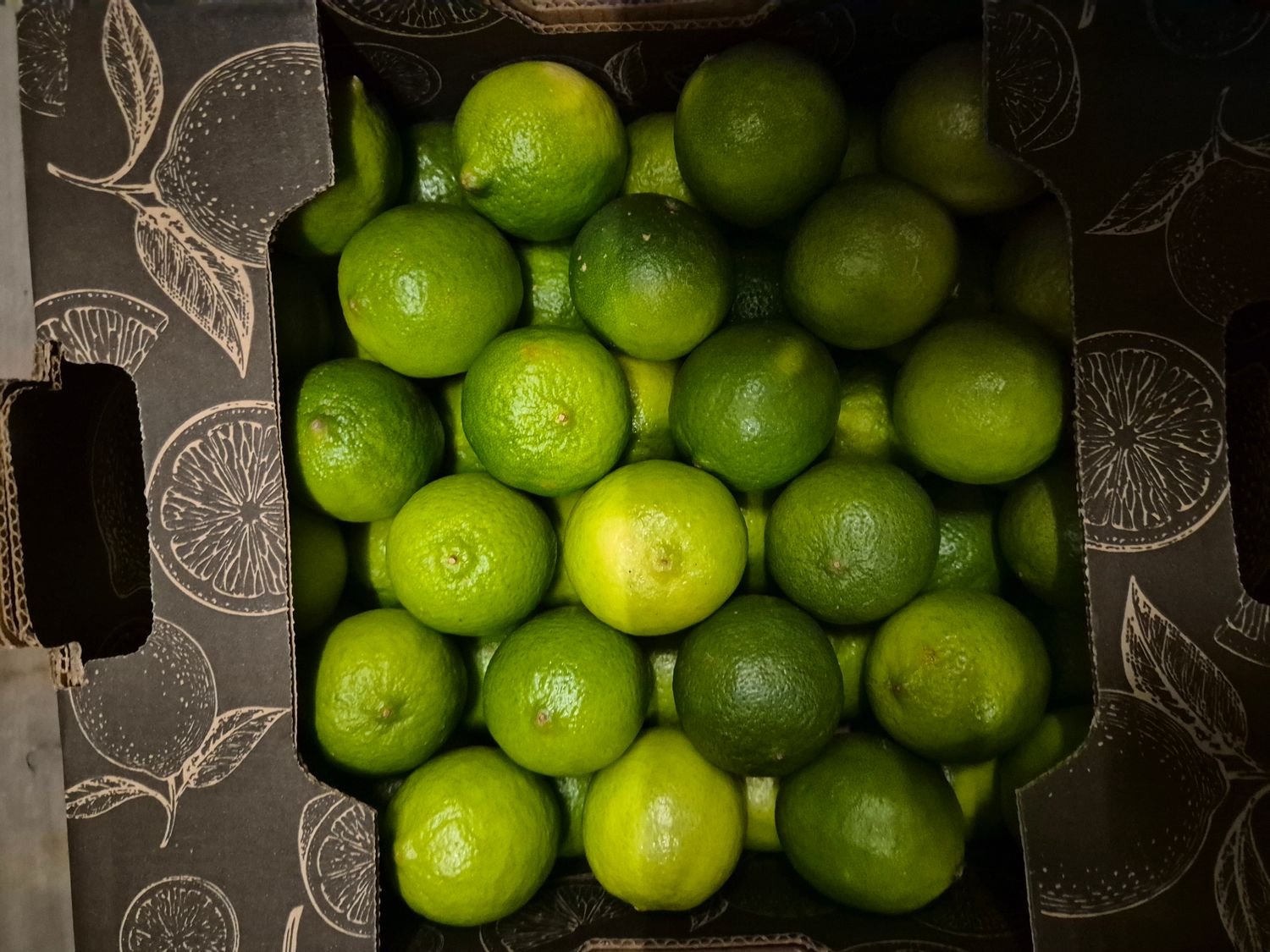 5275299411.jpg Limetten Ca.54 Brasilien - Image 1