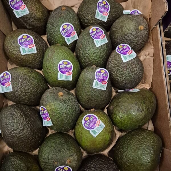 Hass Avocado -Eat me-