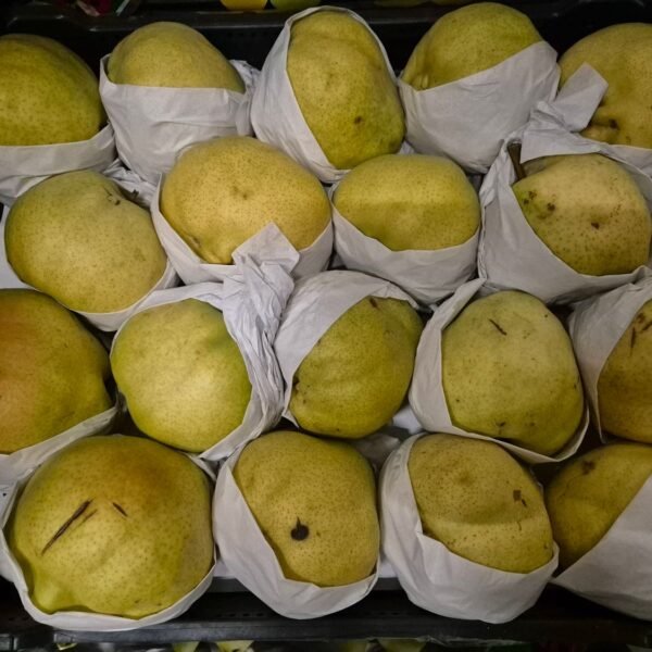 Deveci Birnen ca. 8kg TR
