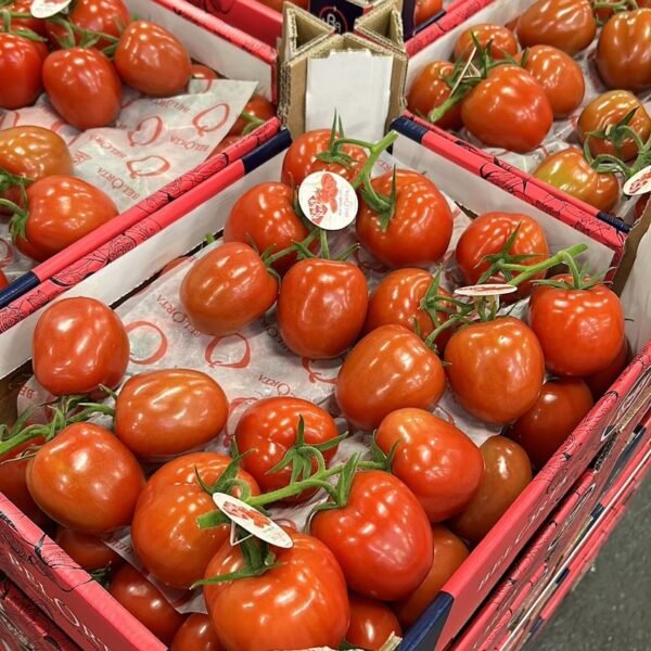5Kg Eiertomaten Belgien