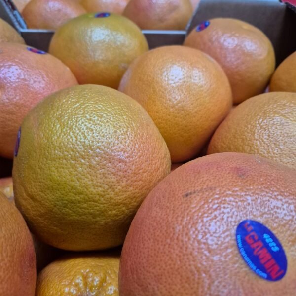 Grapefruit (Tr) 40'er