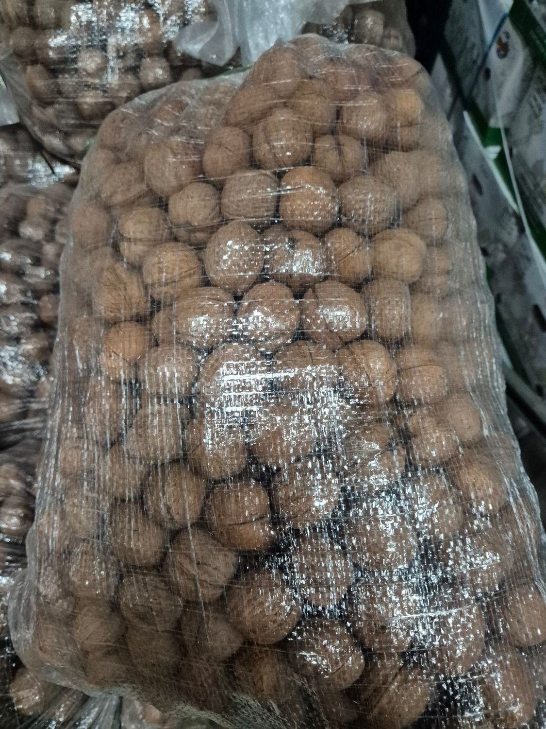 5507576134.jpg Walnüsse 10kg - Image 1