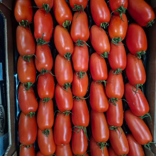SanMarzano Tomaten 6KG