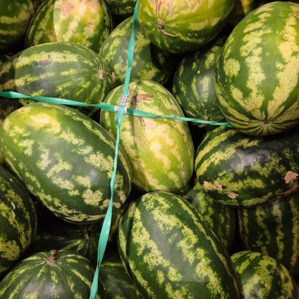 Wassermelone Box (Mauritania)