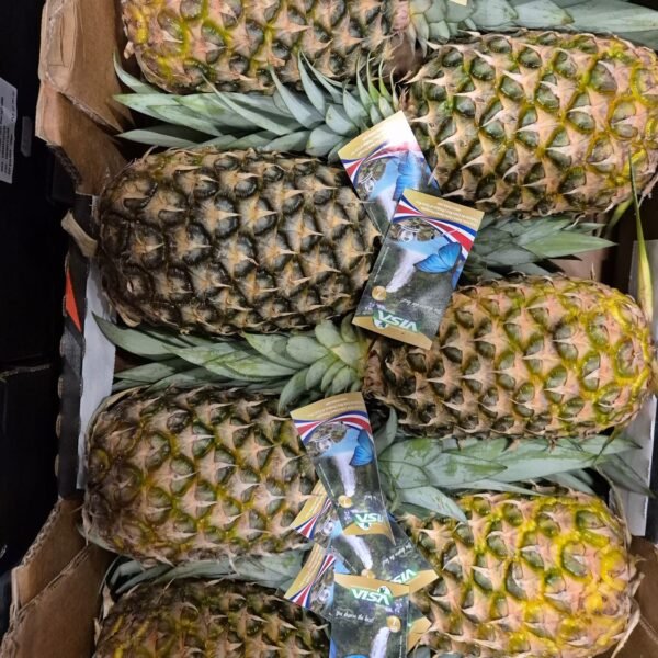Ananas 6 er Costa Rica
