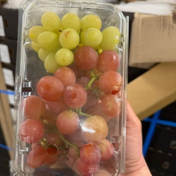 Trauben Mix Schale(10x500g)