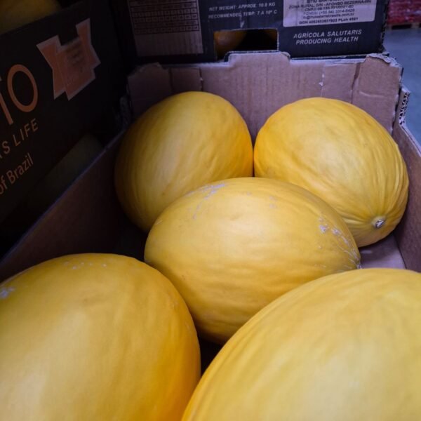 Gelbe Melonen 7'er SP