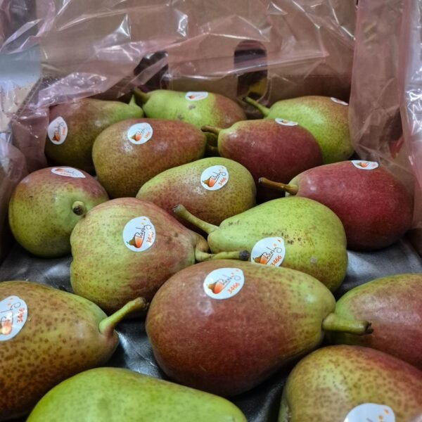 Birnen Cheeky (ZA)12,5 kg