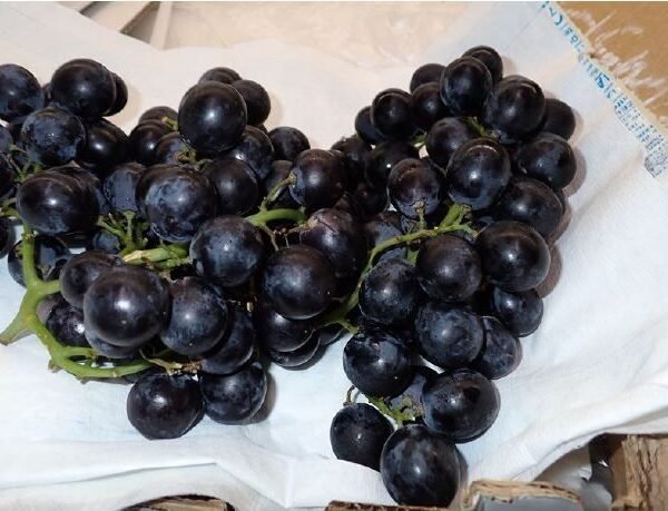Schwarz Trauben 4.5Kg