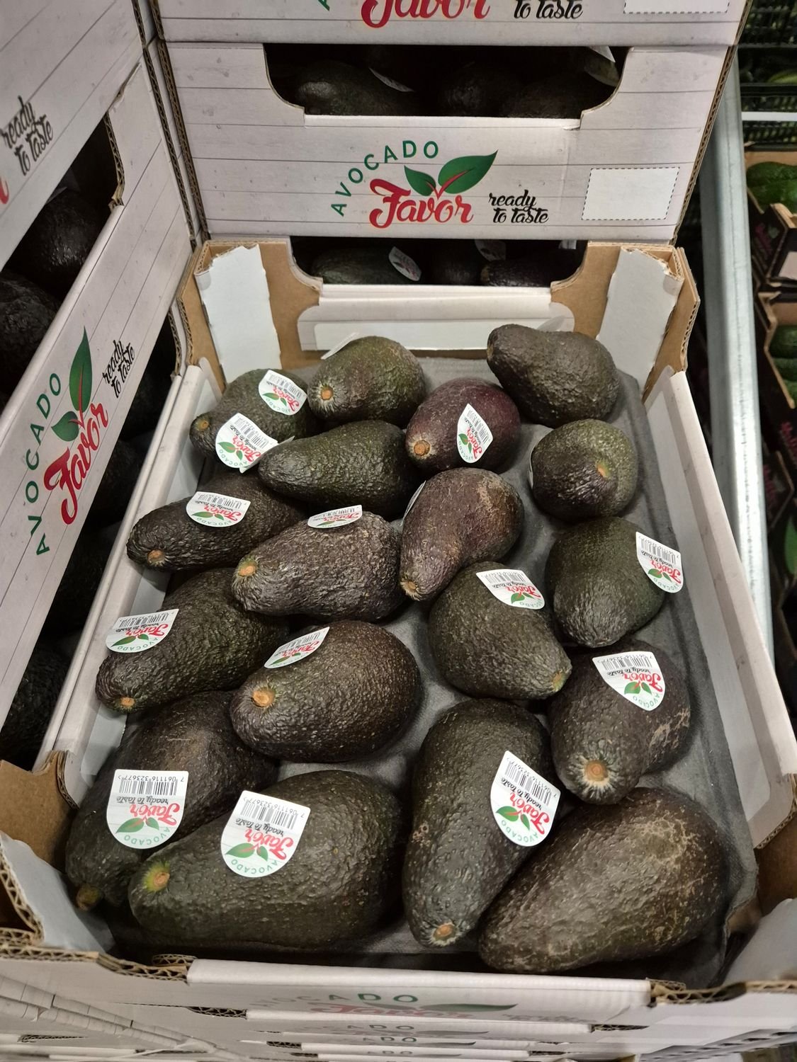 5661474997.jpg Hass Avocado - Image 1
