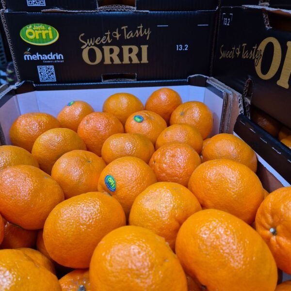 Jafa Orri Clementinen