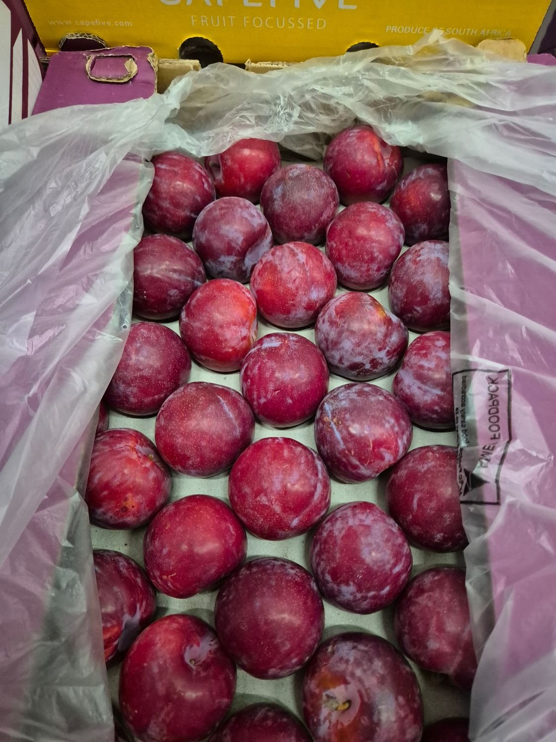 5661487441.jpg Pflaumen Rot (it) - Image 1