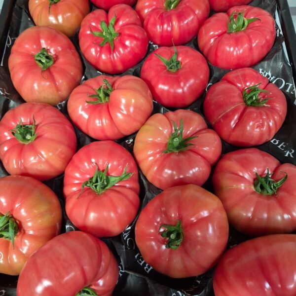 Pink Tomaten Ca. GG 7Kg Sp.