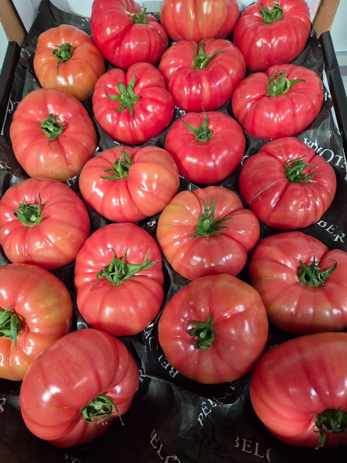 5672123925.jpg Pink Tomaten Ca. GG 7Kg Sp. - Image 1