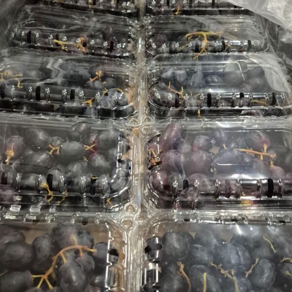 Trauben Rot Schale 10x500gr